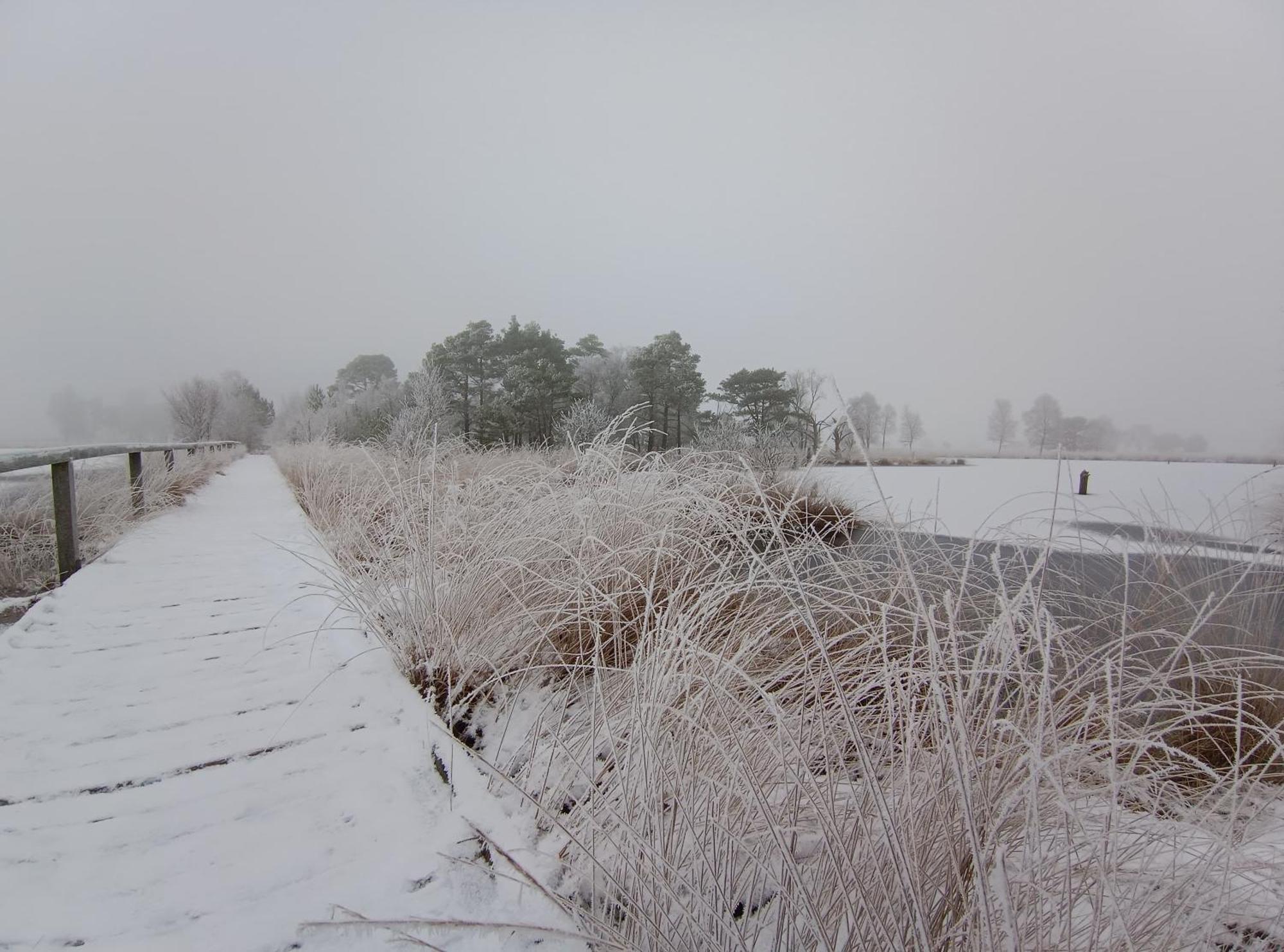 Am Pietzmoor * Schneverdingen
